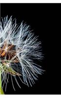Dandelion Notebook