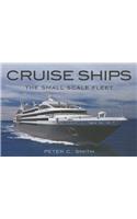 Cruise Ships: The Small-Scale Fleet
