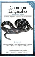 Common Kingsnakes
