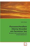 Flussseeschwalben (Sterna hirundo) am Parsteiner See: (German)