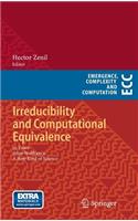 Irreducibility and Computational Equivalence: 10 Years After Wolfram's a New Kind of Science