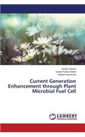 Current Generation Enhancement through Plant Microbial Fuel Cell
