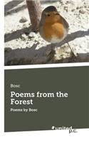Poems from the Forest