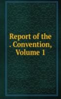 Report of the . Convention, Volume 1