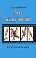 Opredelitel ptits zapadnogo podmoskovya