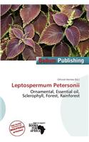 Leptospermum Petersonii
