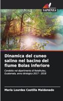 Dinamica del cuneo salino nel bacino del fiume Bolas inferiore
