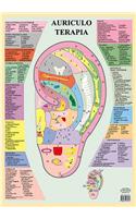 Auriculo Terapia -- A2