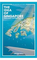 Idea of Singapore, The: Smallness Unconstrained