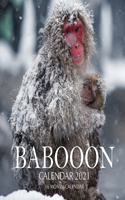 Baboon Calendar 2021: 16 Month Calendar