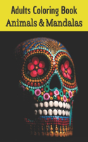 Adults Coloring Book