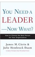 You Need a Leader--Now What?