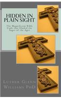 Hidden In Plain Sight