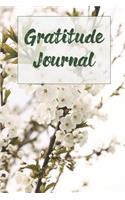 Gratitude Journal