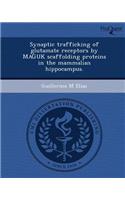 Synaptic Trafficking of Glutamate Receptors by Maguk Scaffolding Proteins in the Mammalian Hippocampus