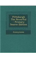 Pittsburgh the Powerful - Primary Source Edition