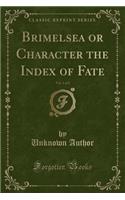 Brimelsea or Character the Index of Fate, Vol. 1 of 2 (Classic Reprint)