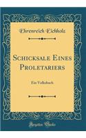 Schicksale Eines Proletariers: Ein Volksbuch (Classic Reprint)