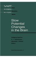 Slow Potential Changes in the Brain