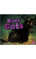 Black Cats