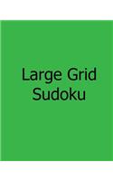 Large Grid Sudoku