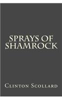 Sprays of Shamrock