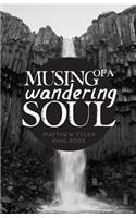 Musing of a Wandering Soul