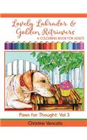 Lovely Labrador and Golden Retrievers