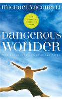 Dangerous Wonder