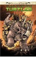 Teenage Mutant Ninja Turtles: Turtles in Time