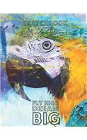 Parrot Sketchbook