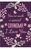 You're Such A Special Grandma, I Love You