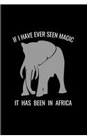 If I Have Ever Seen Magic In Africa