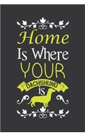 Home is where your dachshund is