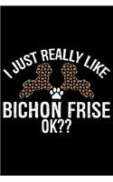 I Just Really Like Bichon Frise Ok?