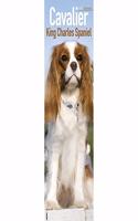 Cavalier King Charles Spaniel Slim Calendar 2020