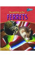 Raintree Perspectives: the Wild Side of Pets: Ferrets Hardback