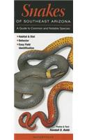 Snakes of Southeast Arizona