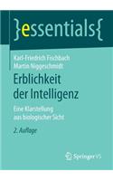 Erblichkeit Der Intelligenz