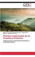 Plantas Medicinales de La Huasteca Potosina