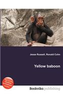 Yellow Baboon