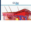 Comprehensive Overview of the Diagnosis and Treatment