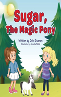 Sugar, The Magic Pony: A Story About Understanding The Connections Between Material Wealth, Family Love, And Gratitude