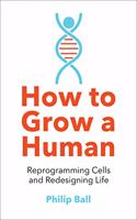 How to Grow a Human