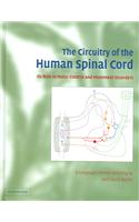 The Circuitry of the Human Spinal Cord