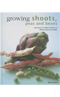 Growing Shoots, Peas and Beans