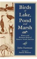 Birds of Lake, Pond and Marsh