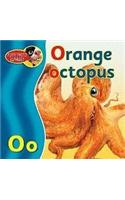Orange Octopus