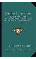 British Butterflies And Moths