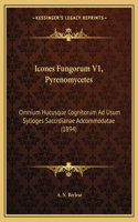 Icones Fungorum V1, Pyrenomycetes